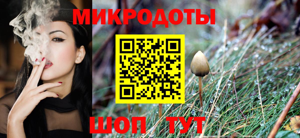 Галлюциногенные грибы мухоморы Когалым